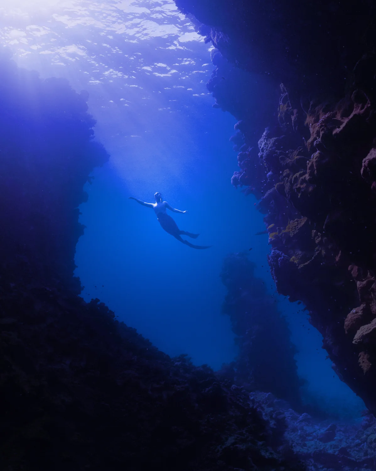 Ein Taucher im Meer